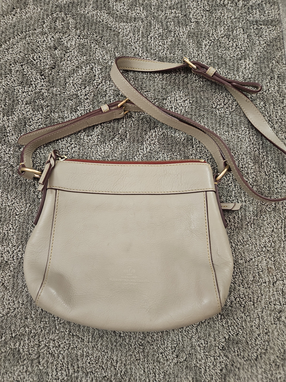 Dooney & Bourke Florentine Allison Crossbody bag is featured in a light taupe - Picture 2 of 6
